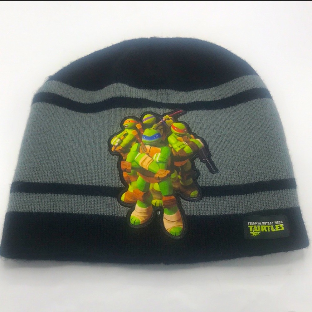 Nickelodeon Teenage Mutant Ninja Turtles Black and Gray Beanie